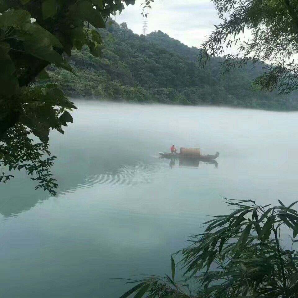 雾漫小东江美景